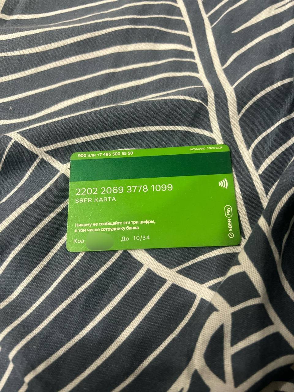 Объявление о питомце в Егорьевске — фото объявления