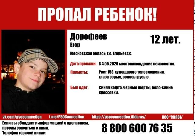 Объявление о питомце в Егорьевске — фото объявления