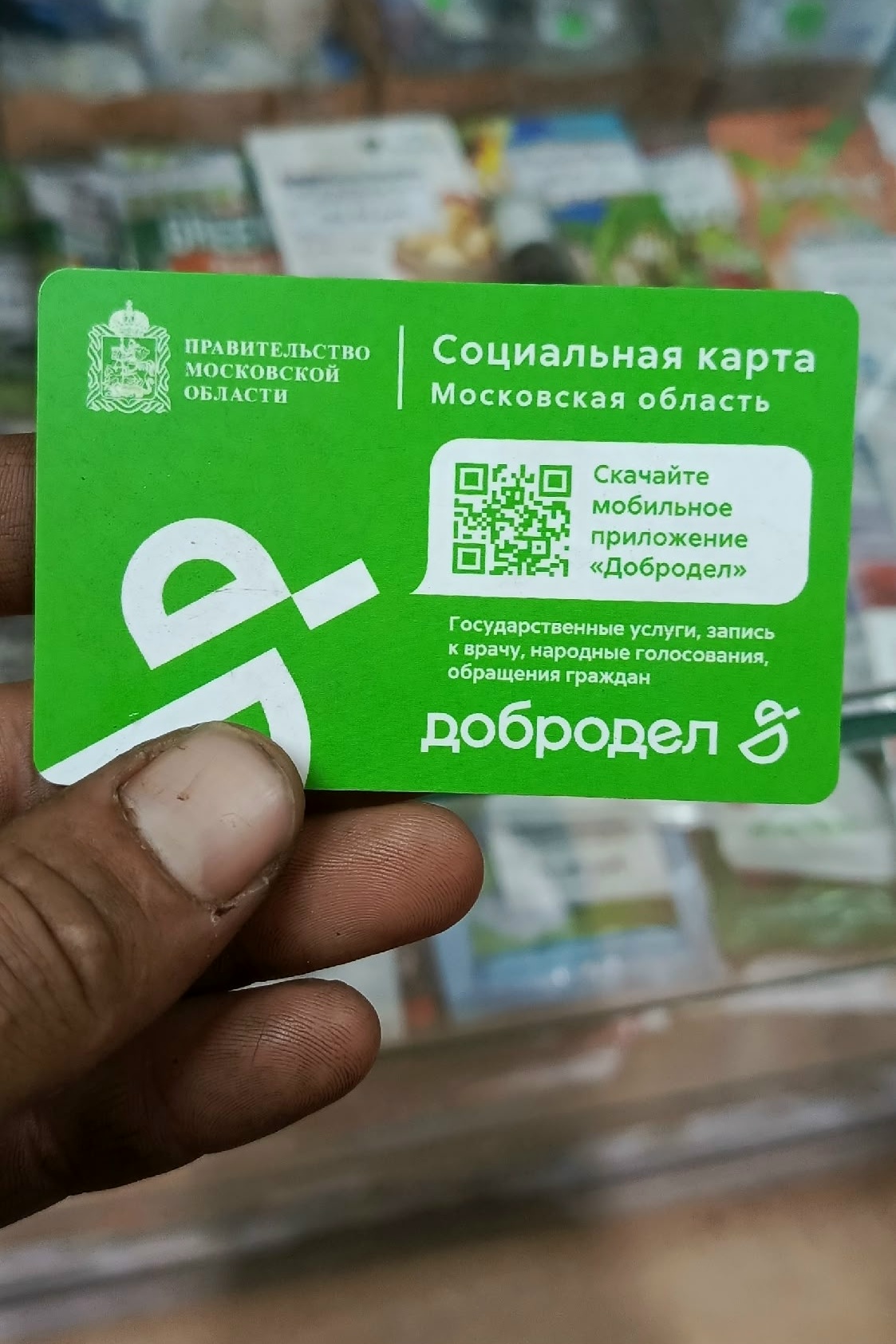 Объявление о питомце в Егорьевске — фото объявления