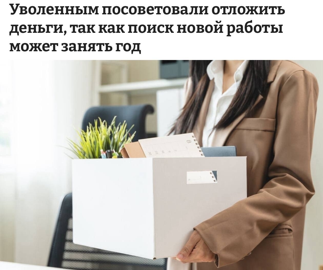 Найдена собака в Солнечногорске — фото объявления