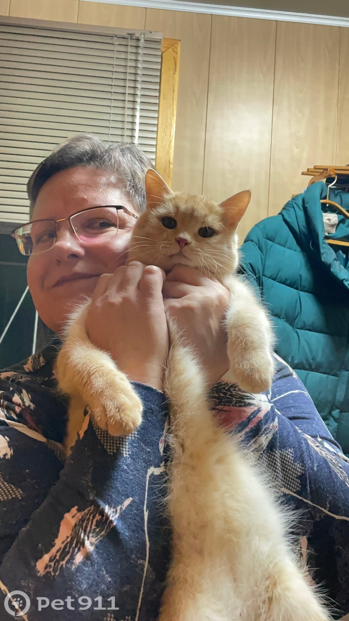 Найдена кошка в Твери — фото объявления