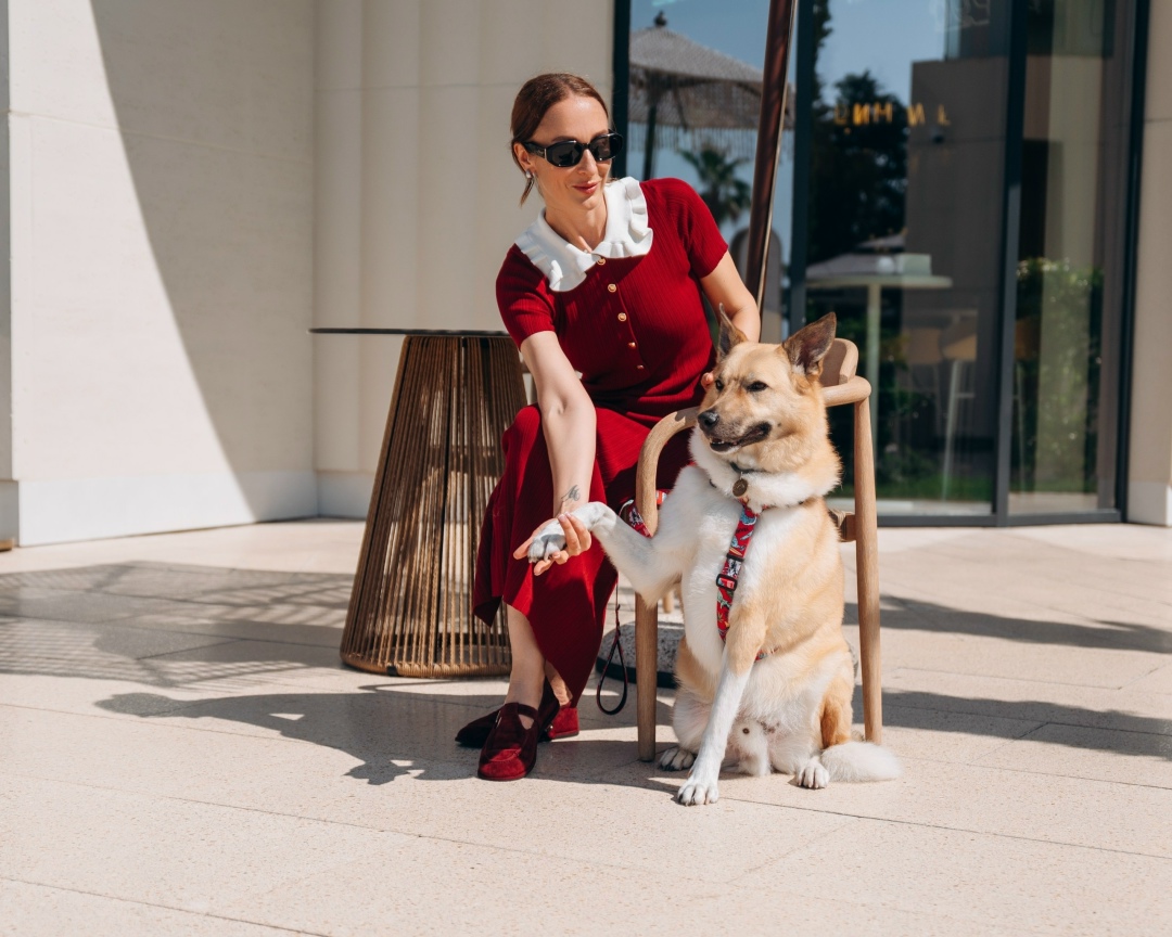 Найдена собака в Сергиевом Посаде — фото объявления