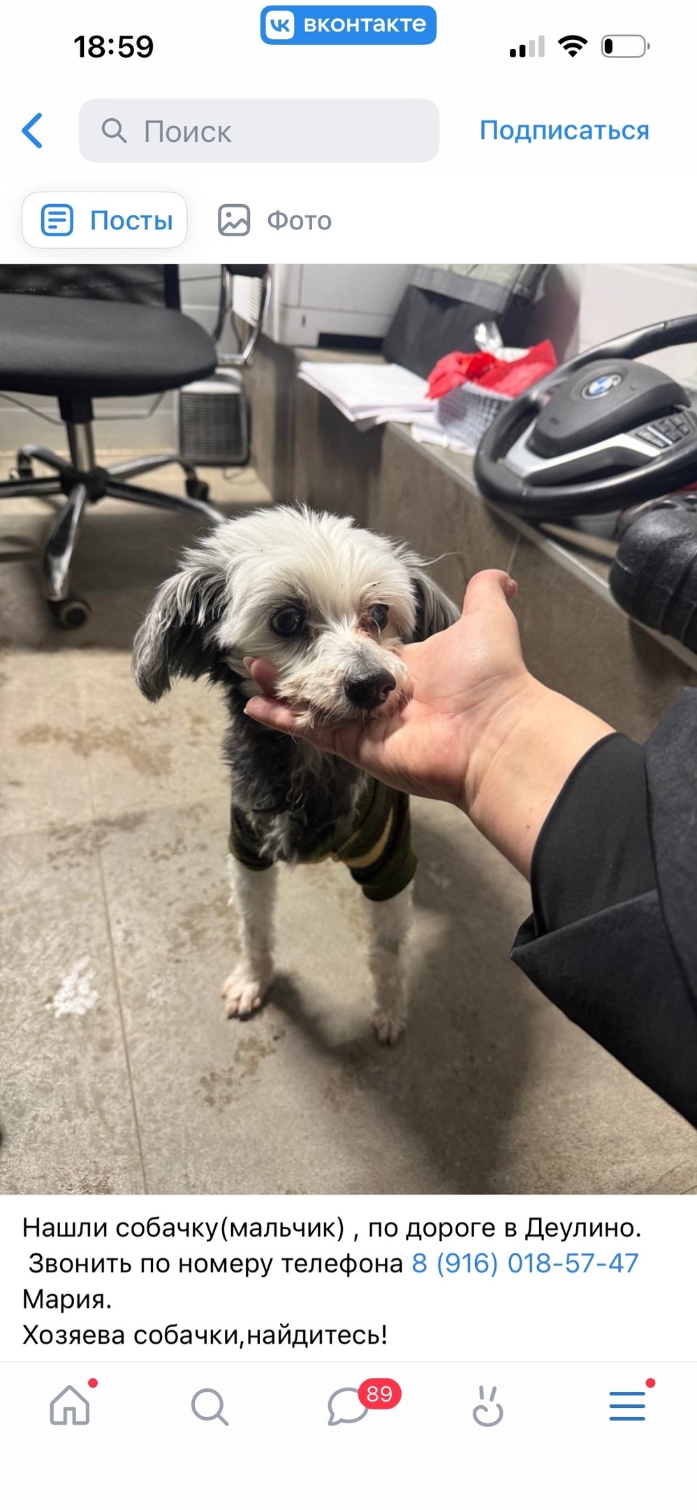 Найдена собака в Сергиевом Посаде — фото объявления