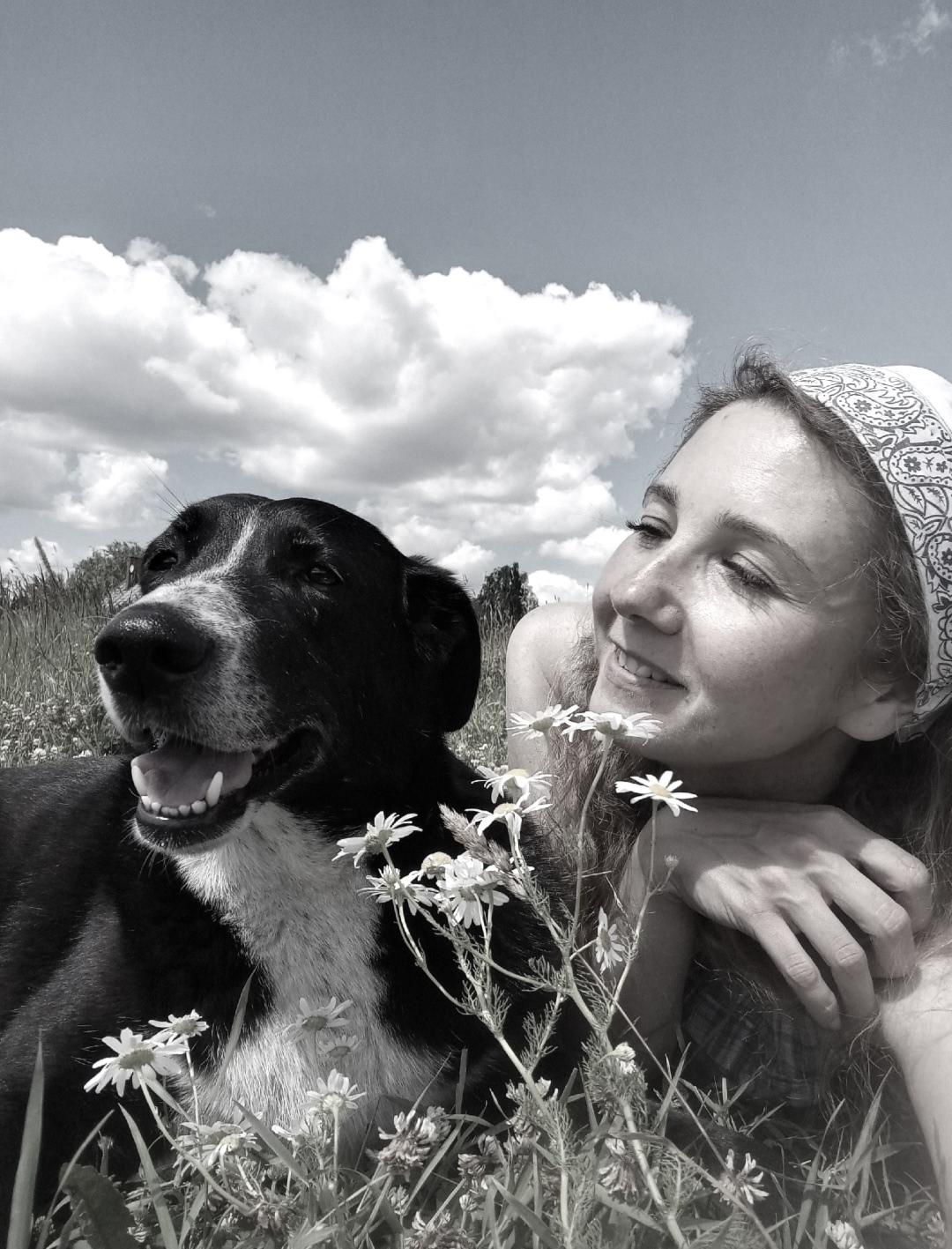 Найдена собака в Сергиевом Посаде — фото объявления