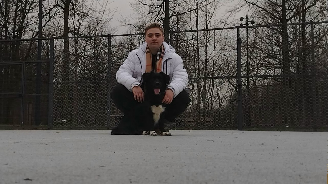 Пропала собака в Фрязине — фото объявления