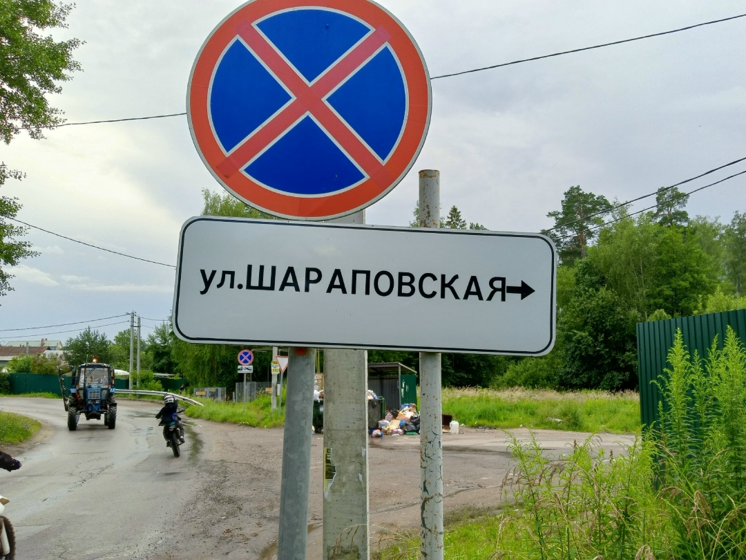 Пропала собака в Фрязине — фото объявления