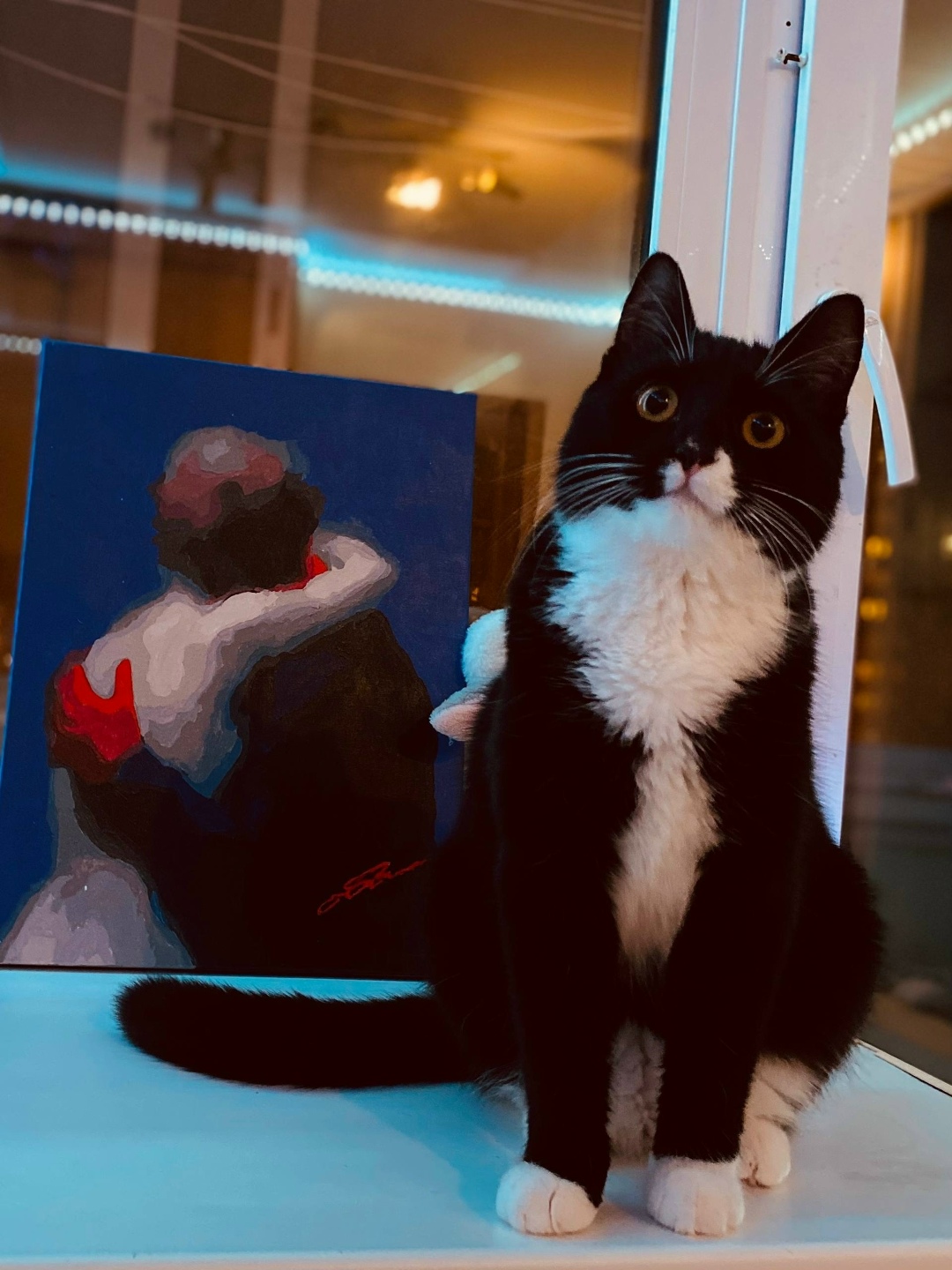 Найдена кошка в Пушкине — фото объявления