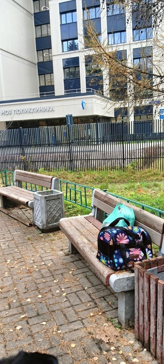 Найдена собака в Зеленограде — фото объявления