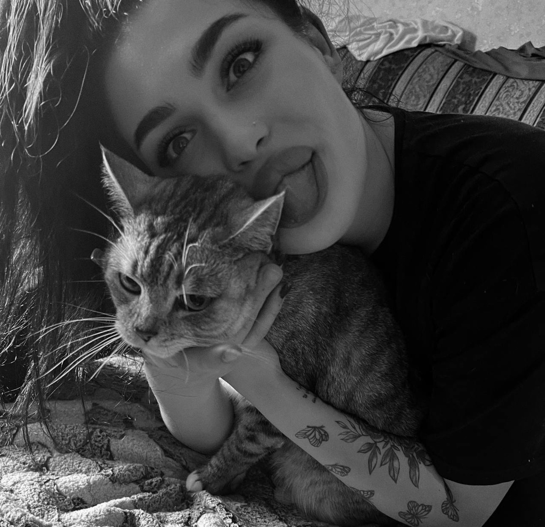 Пропала кошка в Зеленограде — фото объявления