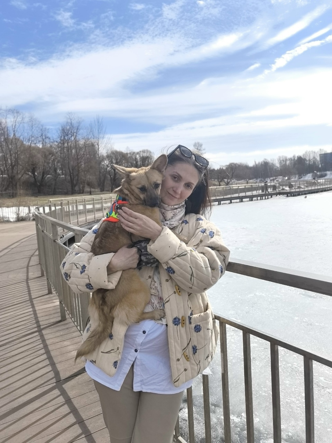 Пропала собака в Зеленограде — фото объявления