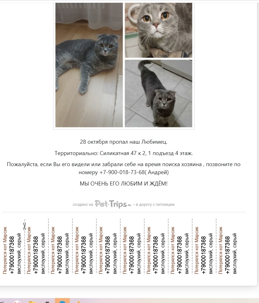 Пропала собака в Королёве — фото объявления