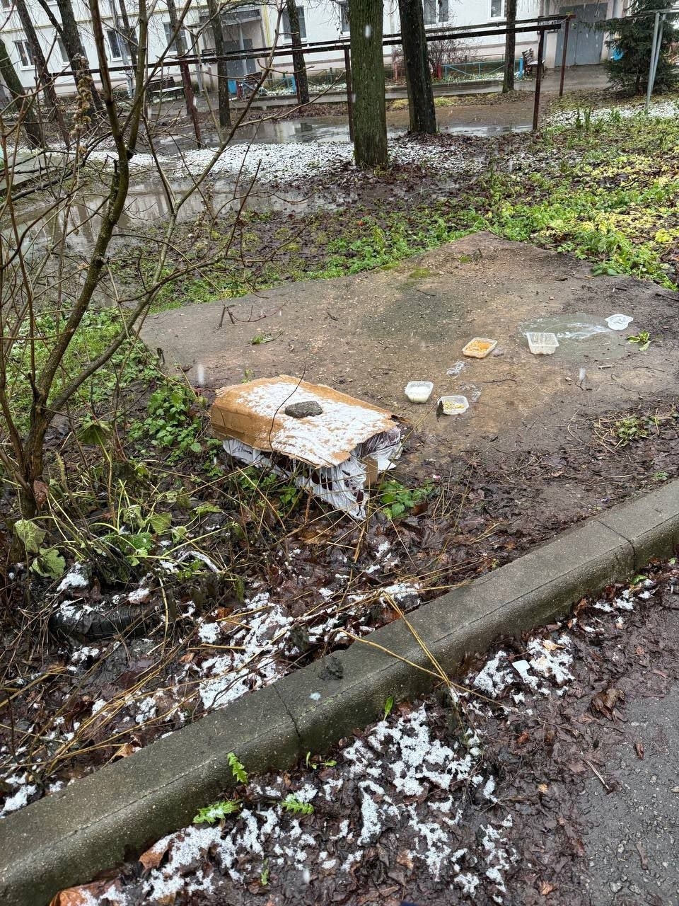 Найдена собака в Дмитрове — фото объявления