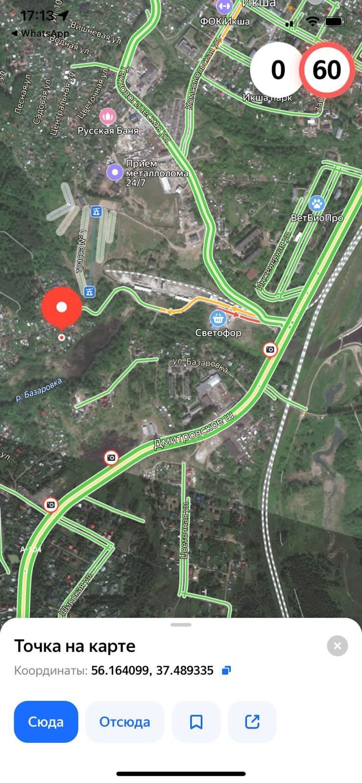 Пропала собака в Дмитрове — фото объявления