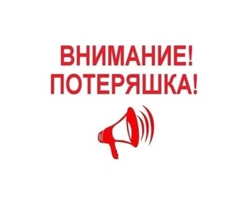 Пропала собака в Перми — фото объявления