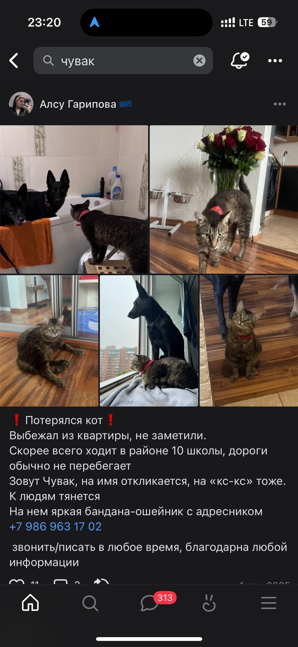 Пропала собака в Перми — фото объявления