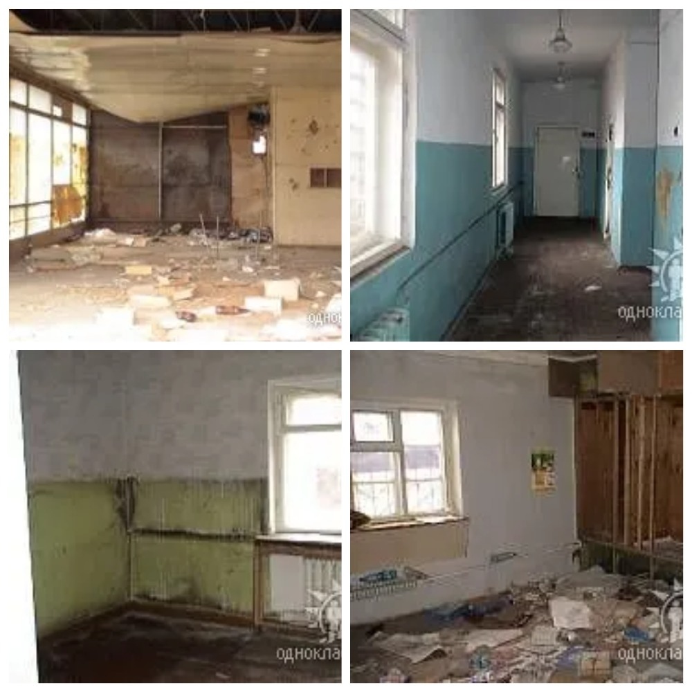 Найдена собака в Воронеже — фото объявления