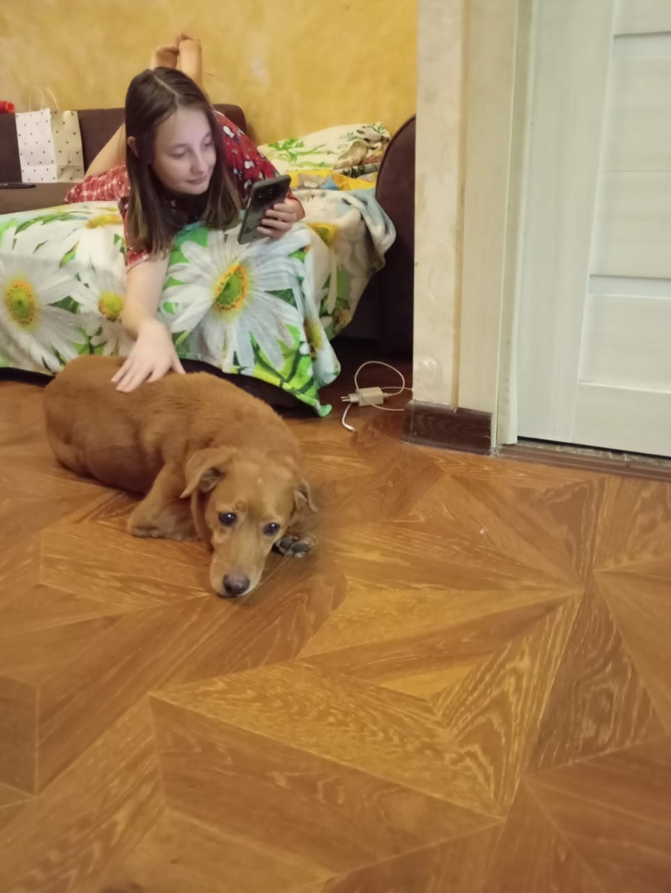 Пропала собака в Ростове-на-Дону — фото объявления