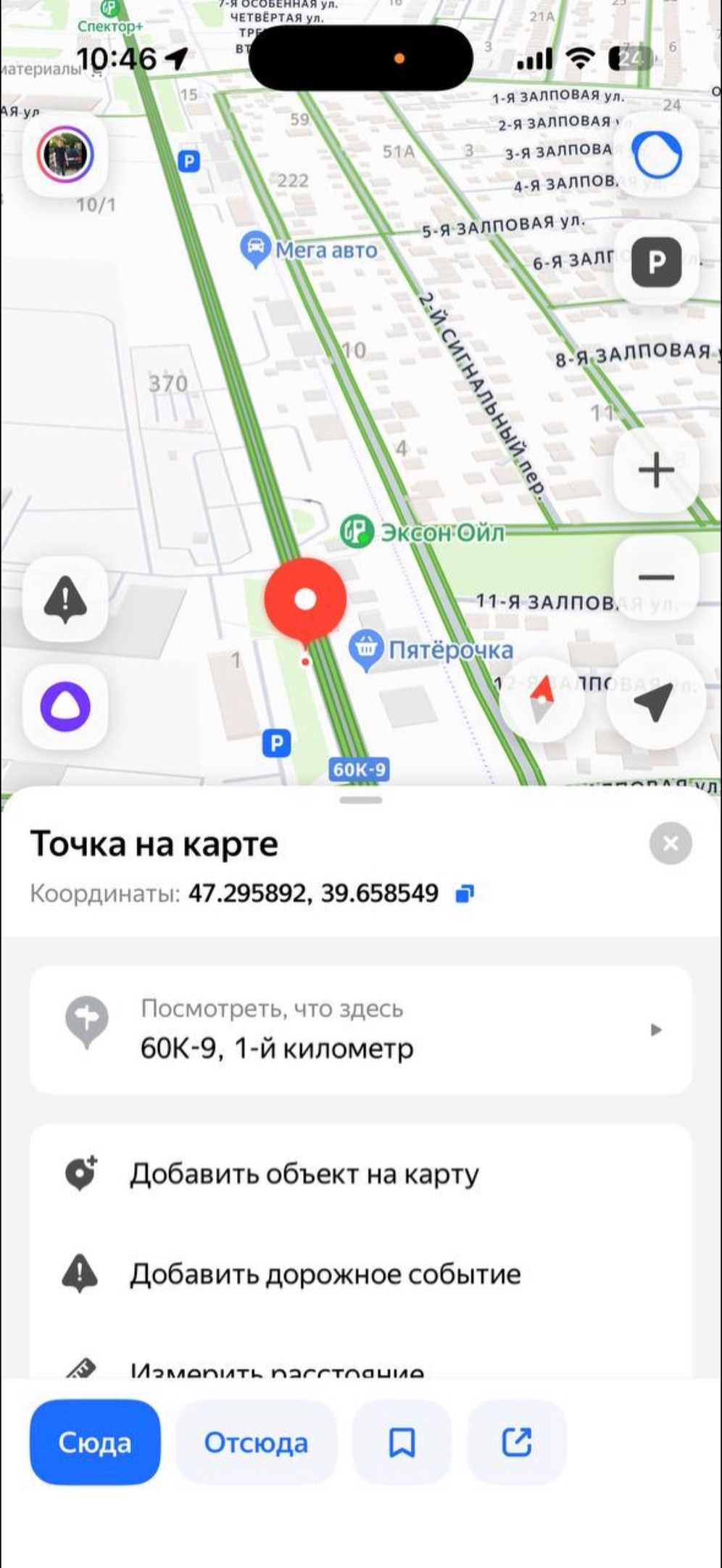 Пропала собака в Ростове-на-Дону — фото объявления