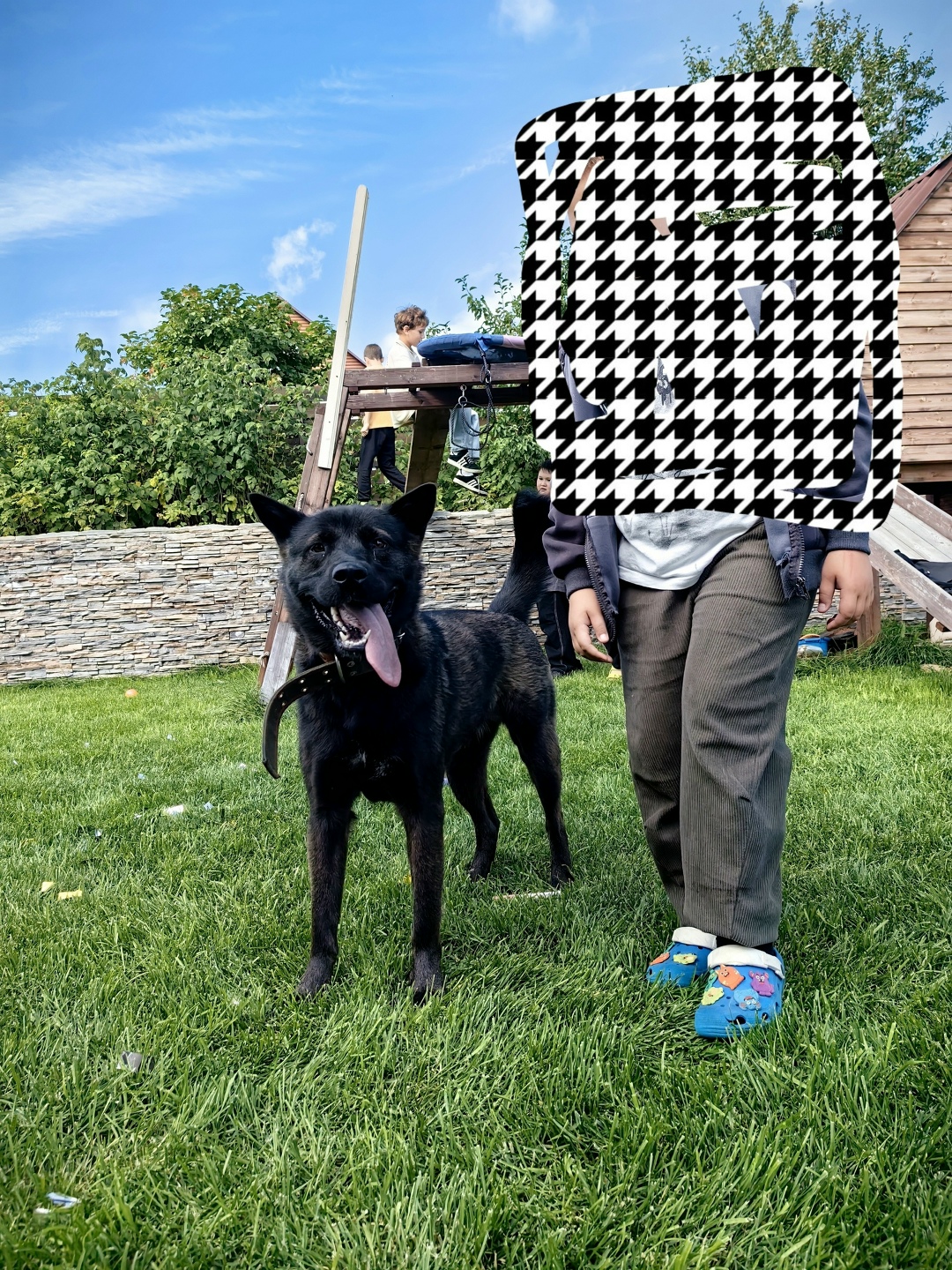 Пропала собака в Красноярске — фото объявления