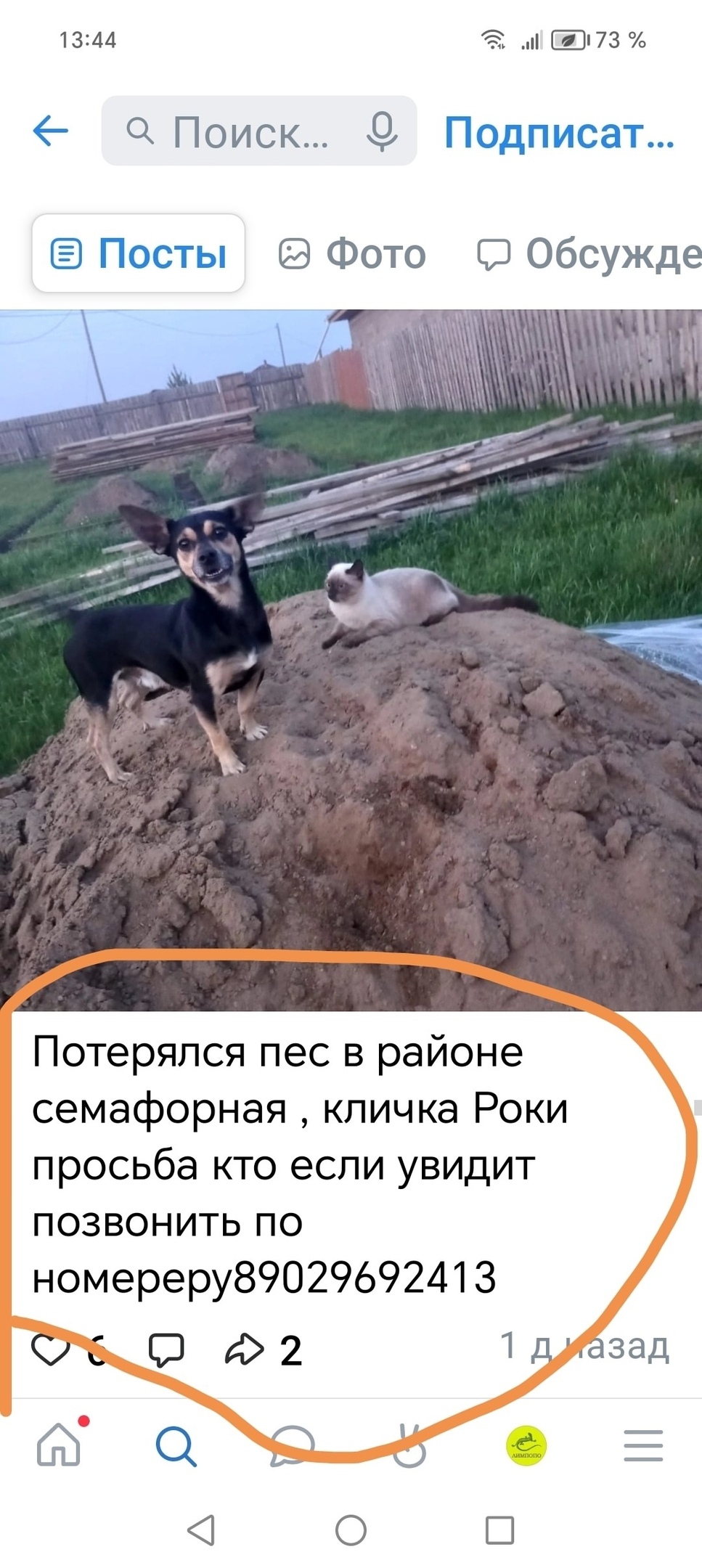 Найдена собака в Красноярске — фото объявления