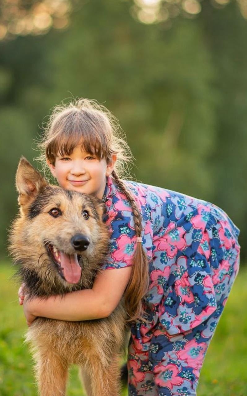 Найдена собака в Москве — фото объявления
