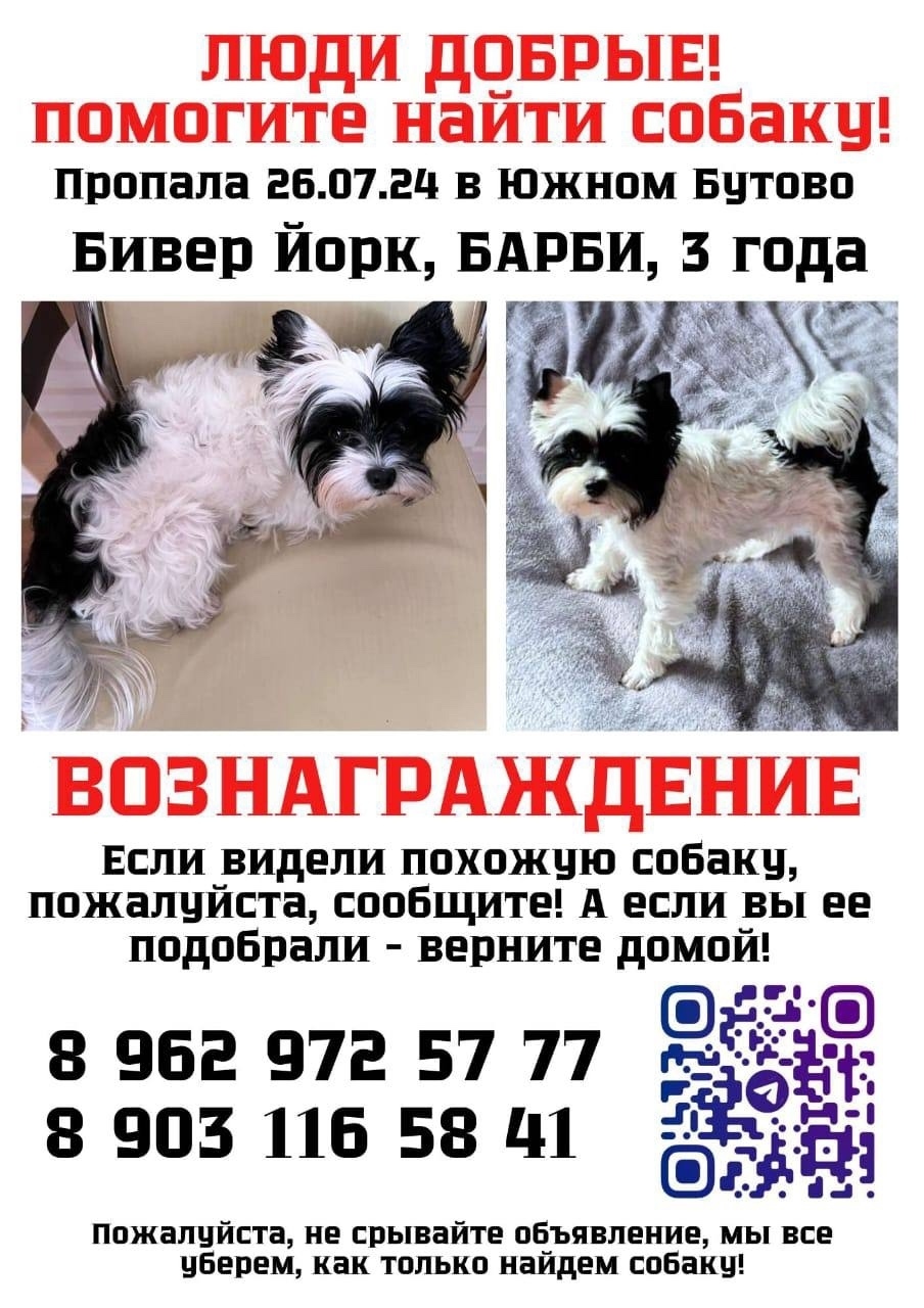 Найдена собака в Москве — фото объявления