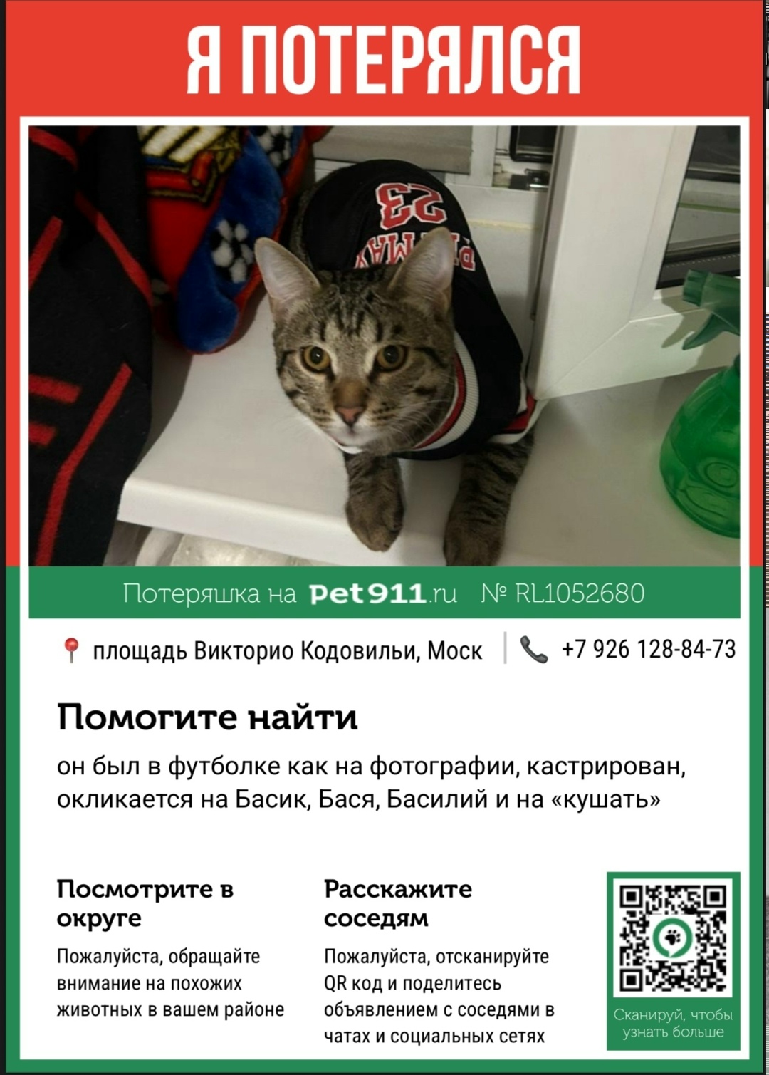 Пропала кошка в Москве — фото объявления