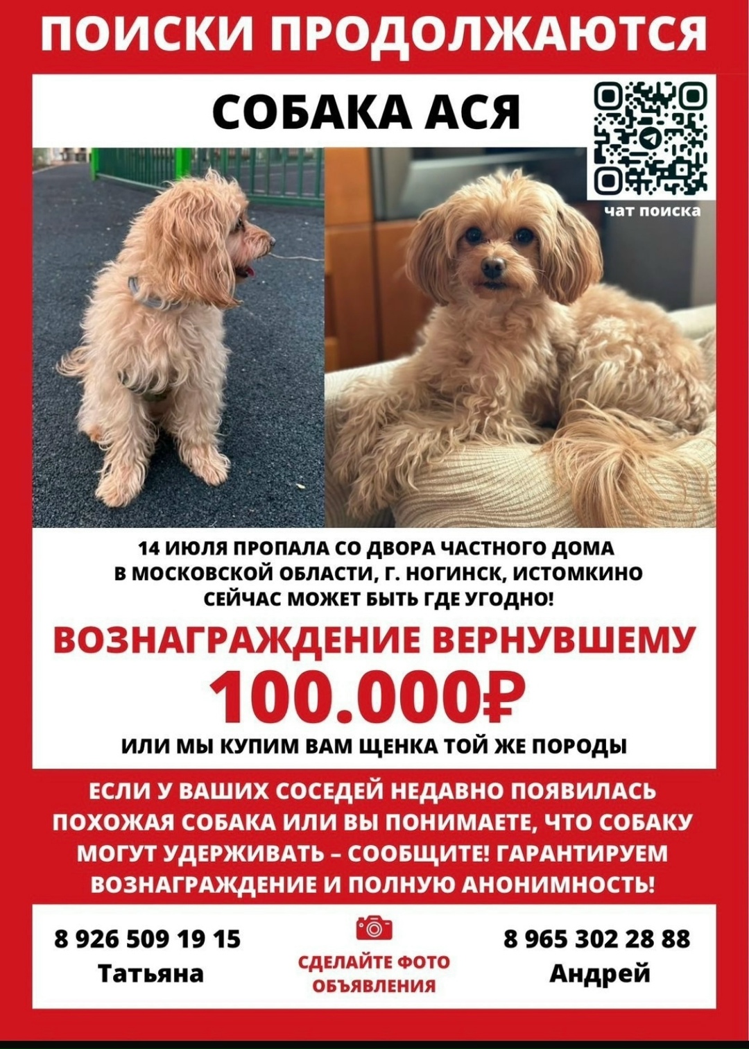 Пропала собака в Москве — фото объявления
