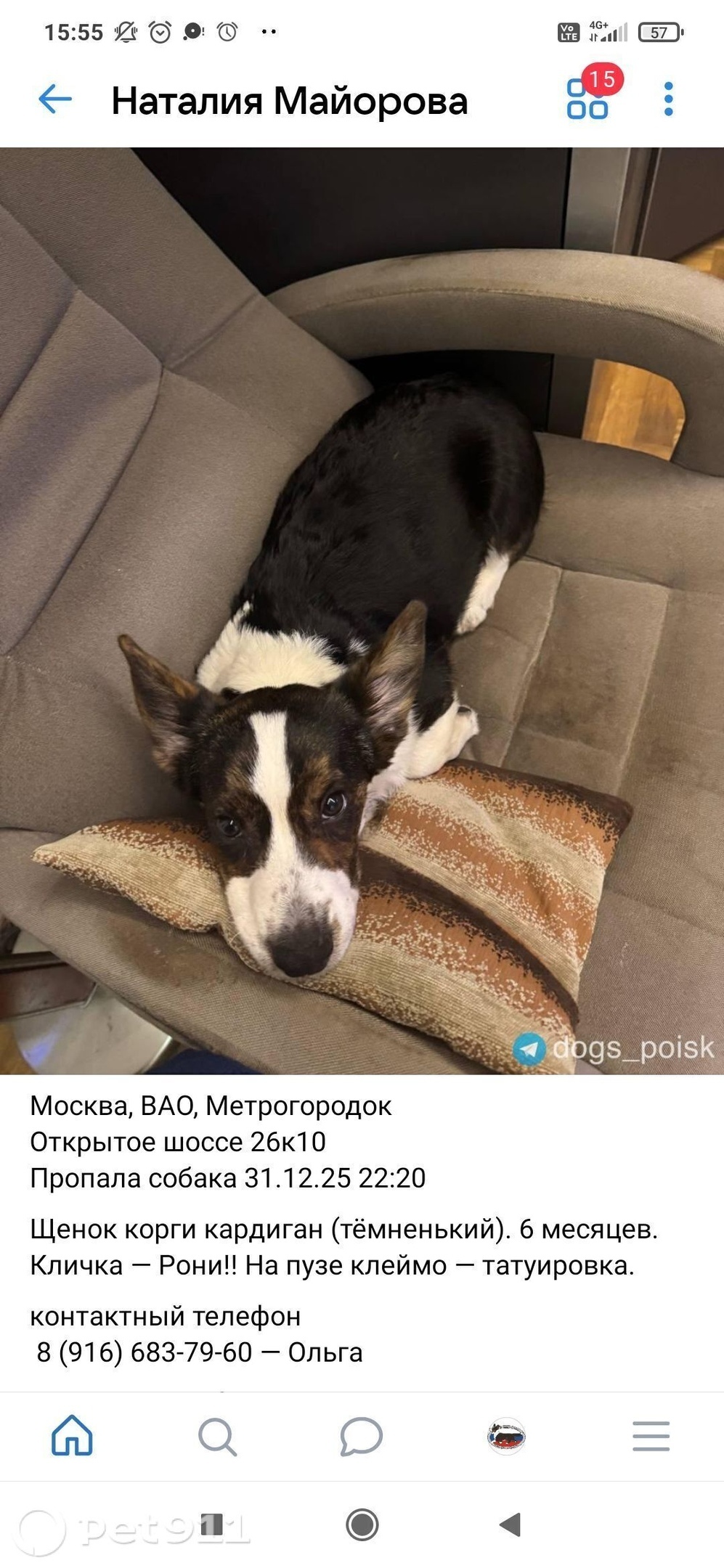 Пропала собака в Москве — фото объявления