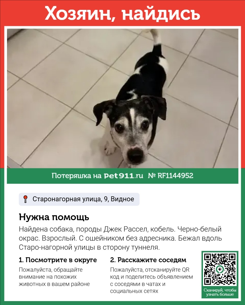 Найдена собака в Москве — фото объявления