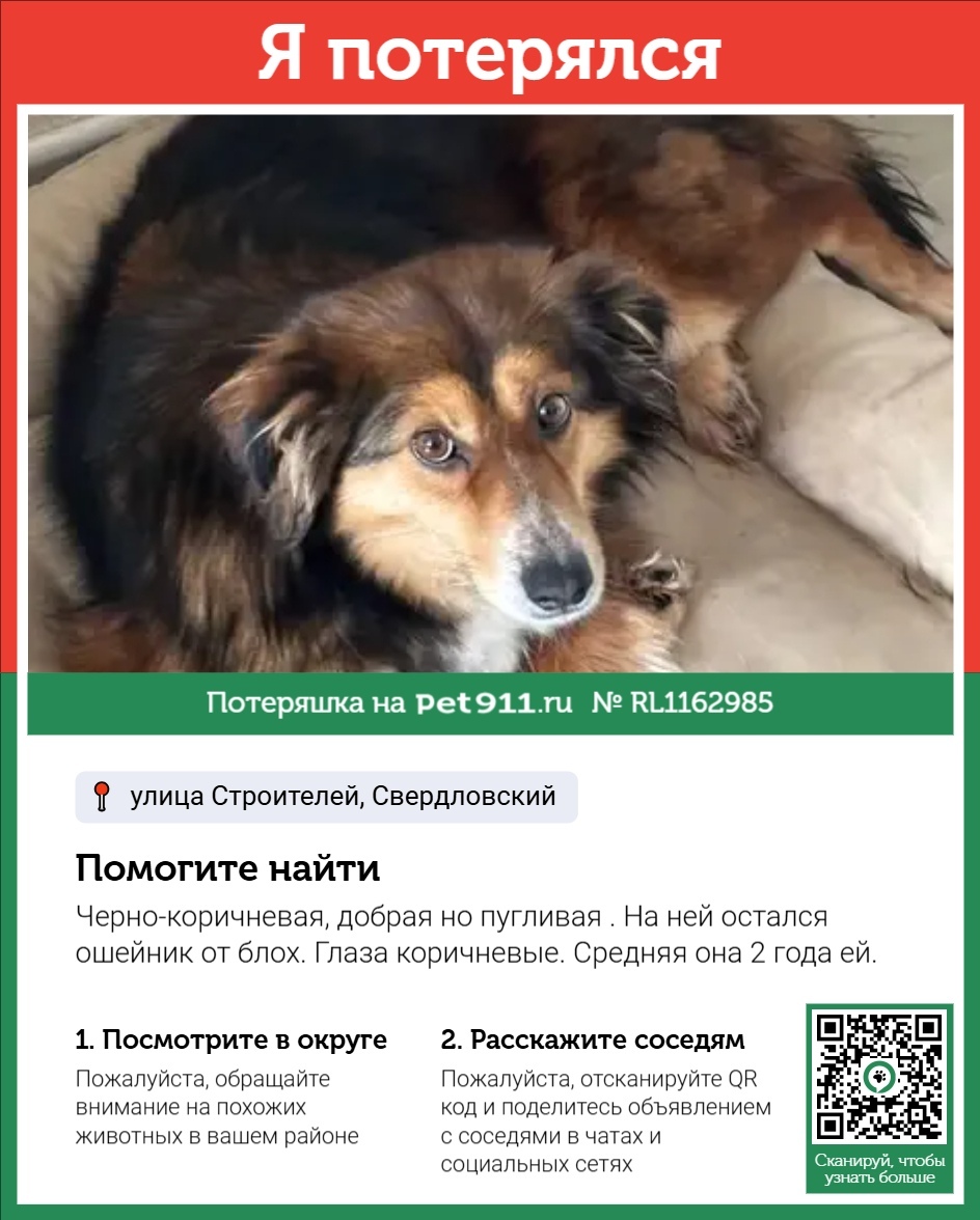 Пропала собака в Москве — фото объявления