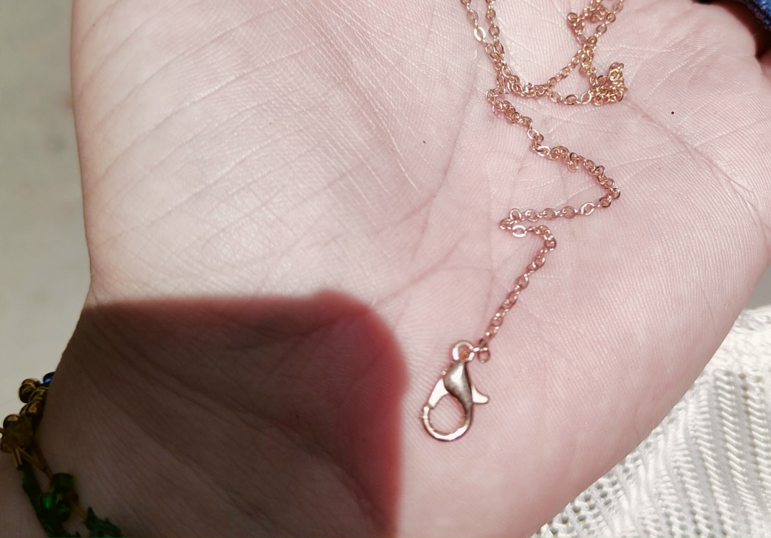 Найдена собака в Волгограде — фото объявления