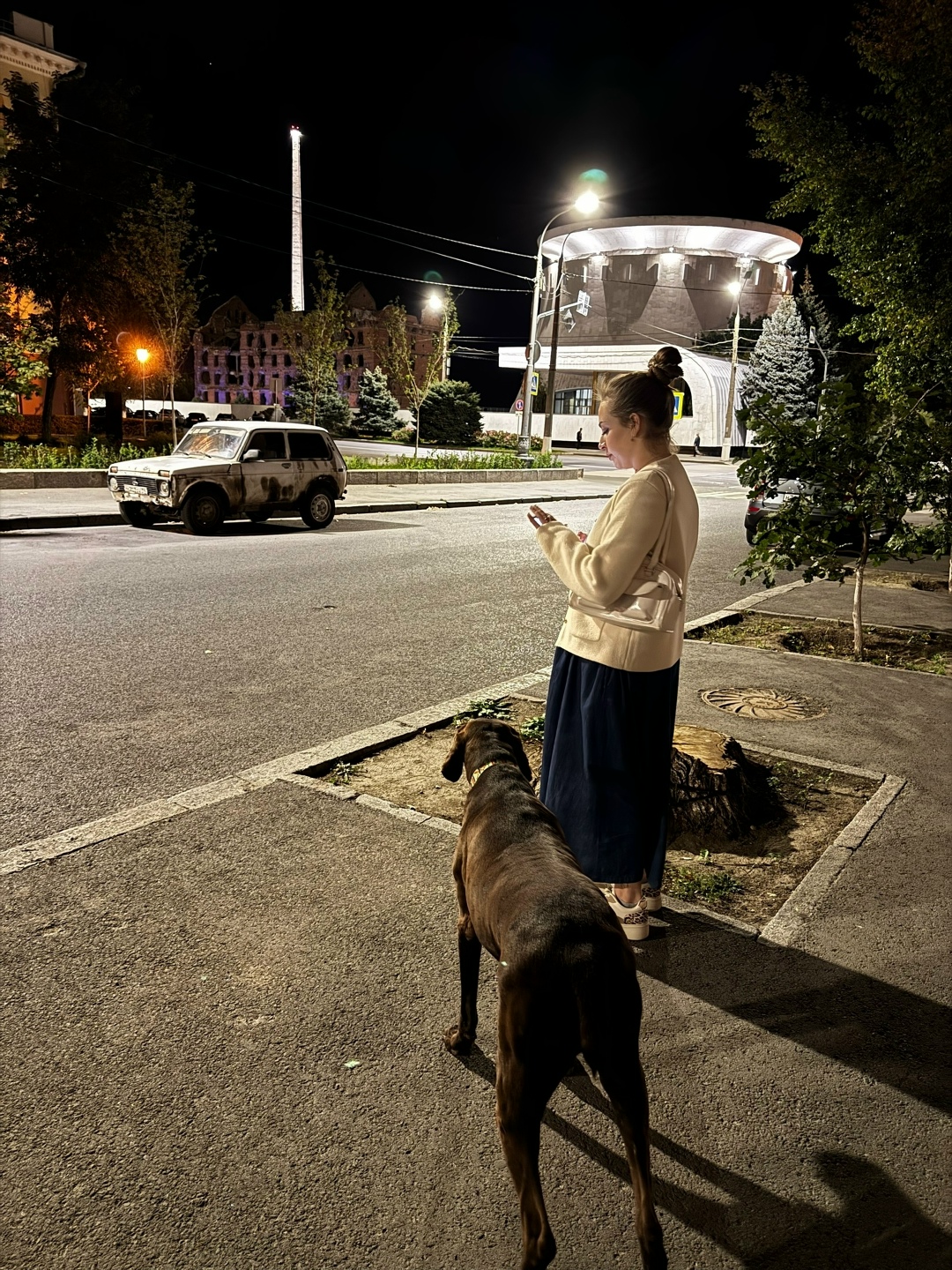 Пропала собака в Волгограде — фото объявления