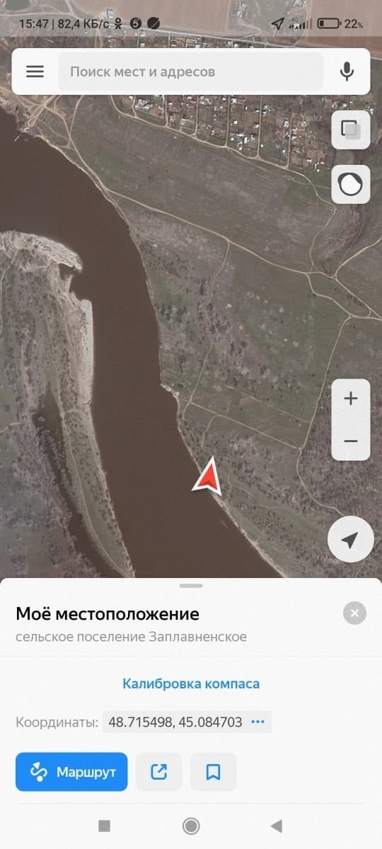 Найдена собака в Волгограде — фото объявления