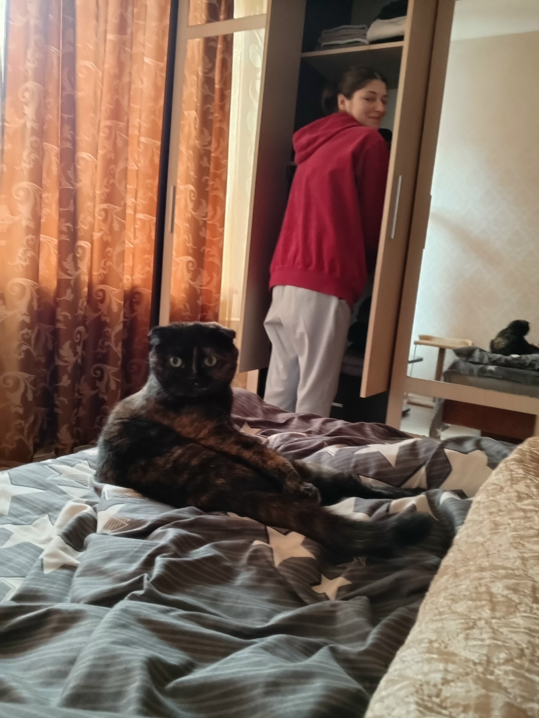 Пропала кошка в Люберцах — фото объявления