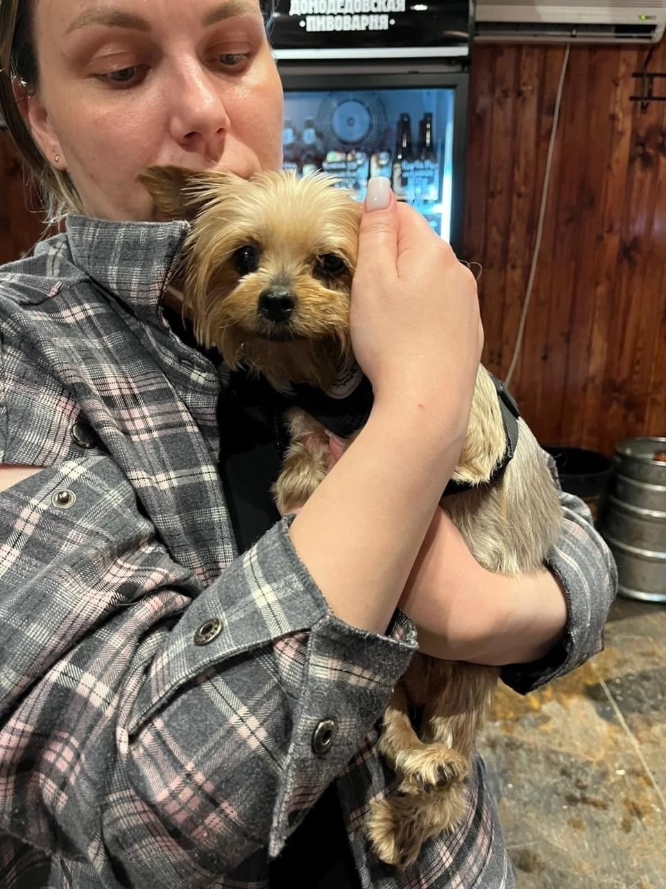 Найдена собака в Люберцах — фото объявления