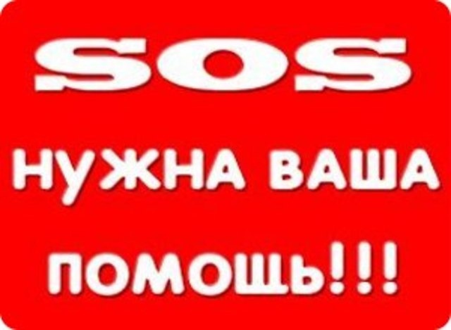 Найдена собака в Красногорске — фото объявления