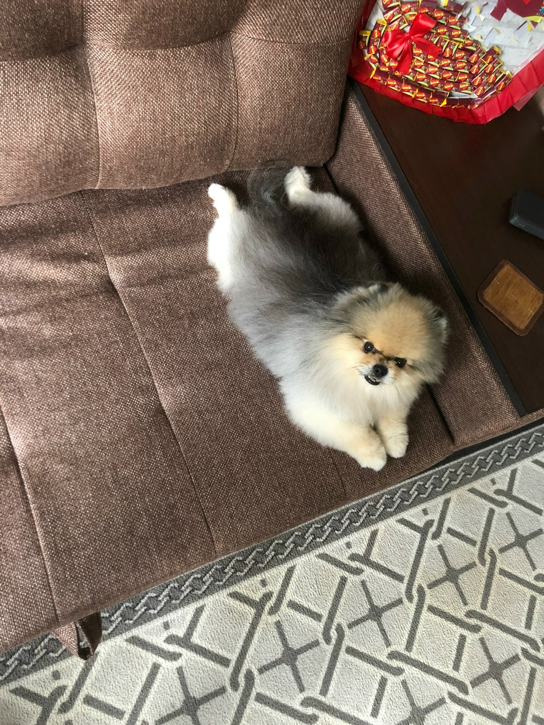 Пропала собака в Красногорске — фото объявления