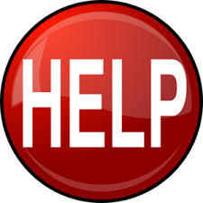 Пропала собака в Красногорске — фото объявления