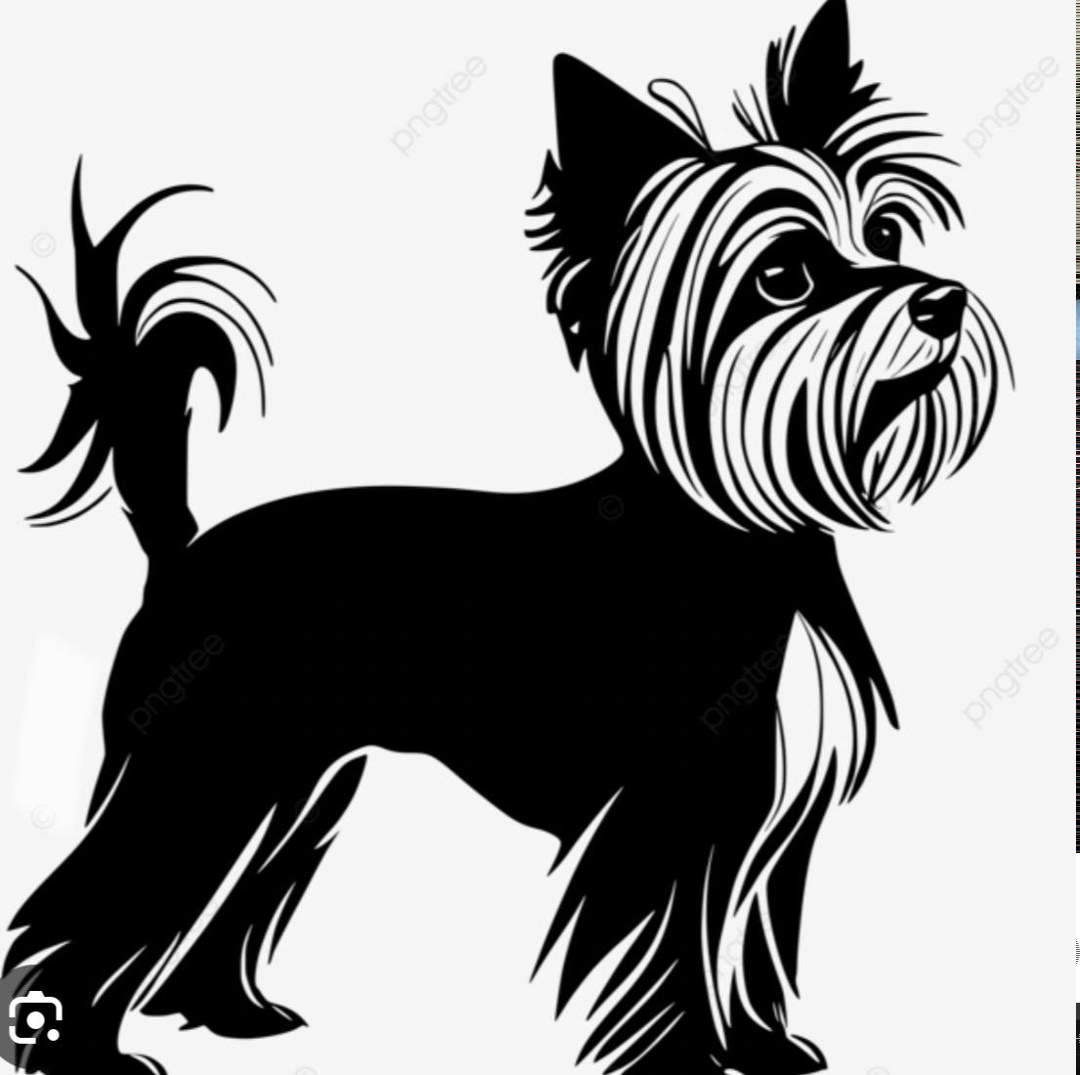 Пропала собака в Красногорске — фото объявления