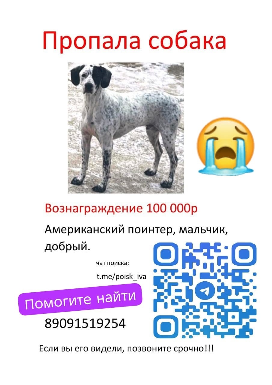 Пропала собака в Красногорске — фото объявления