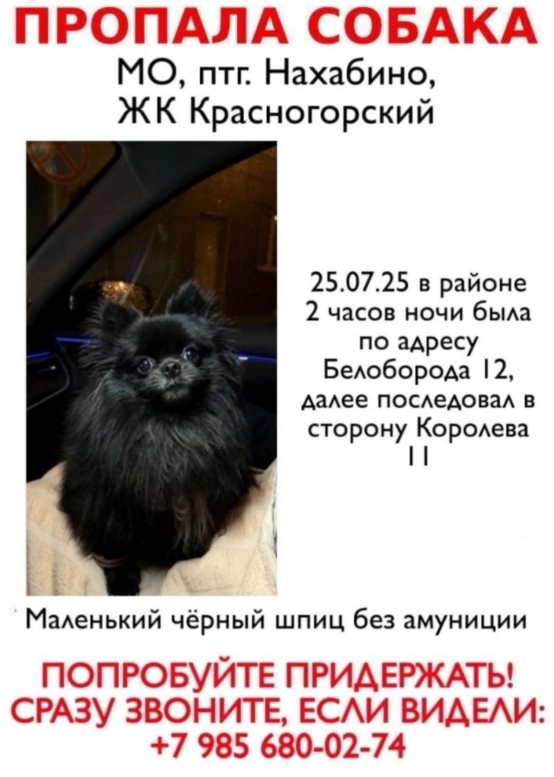 Пропала собака в Красногорске — фото объявления