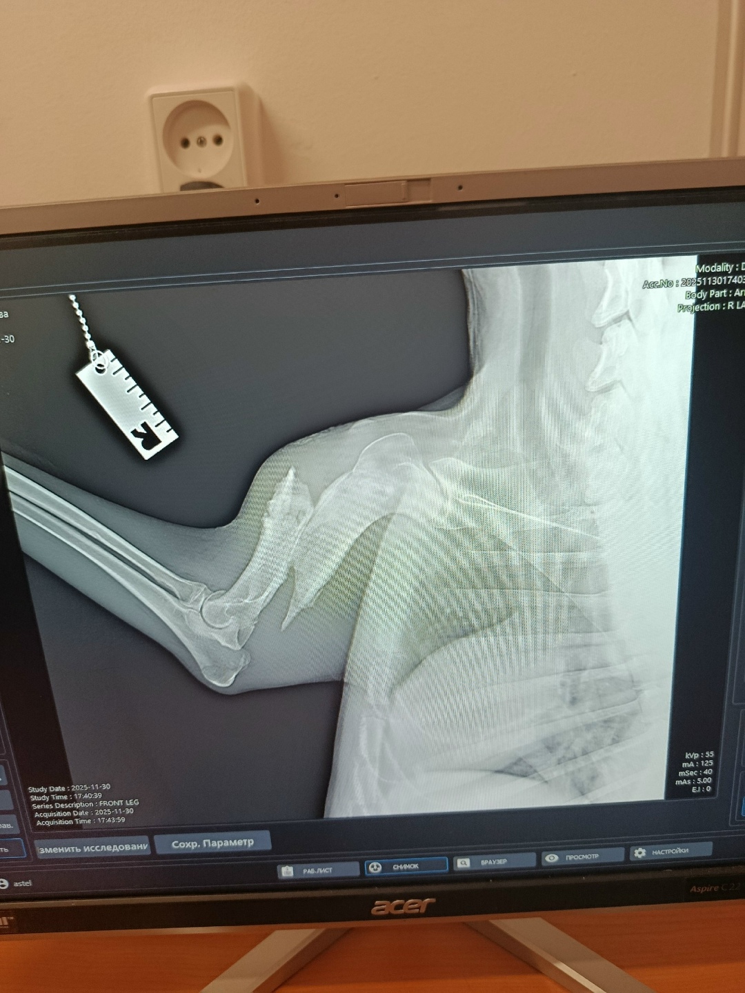 Пропала собака в Электростали — фото объявления