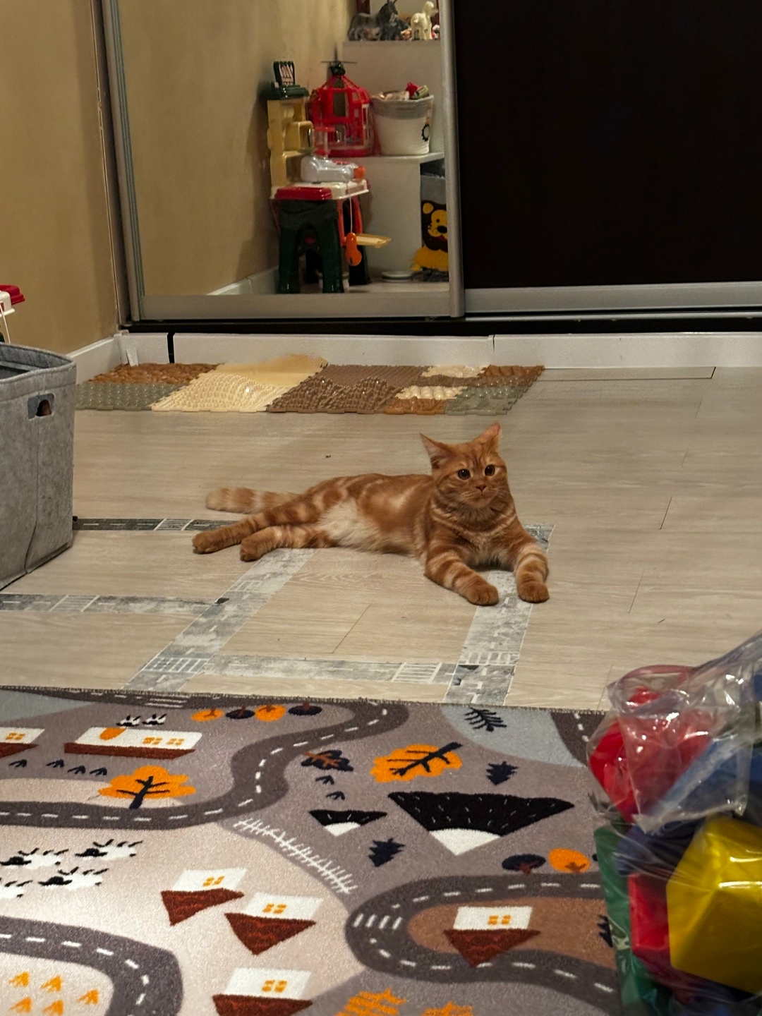 Пропала кошка в Электростали — фото объявления