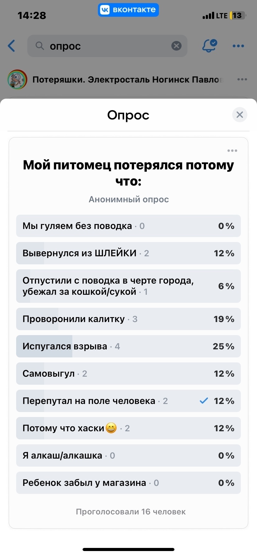 Найдена собака в Электростали — фото объявления