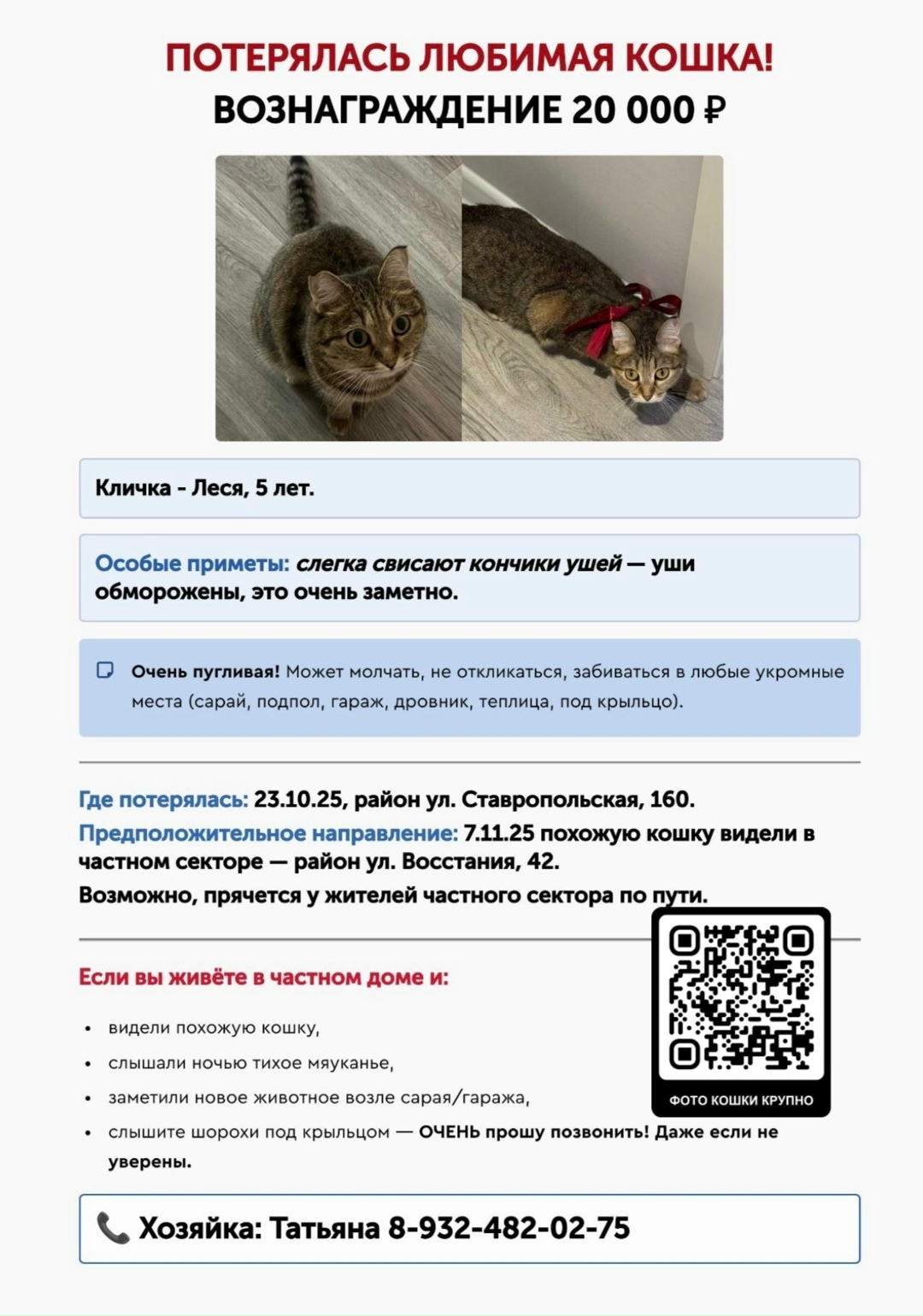 Найдена собака в Тюмени — фото объявления