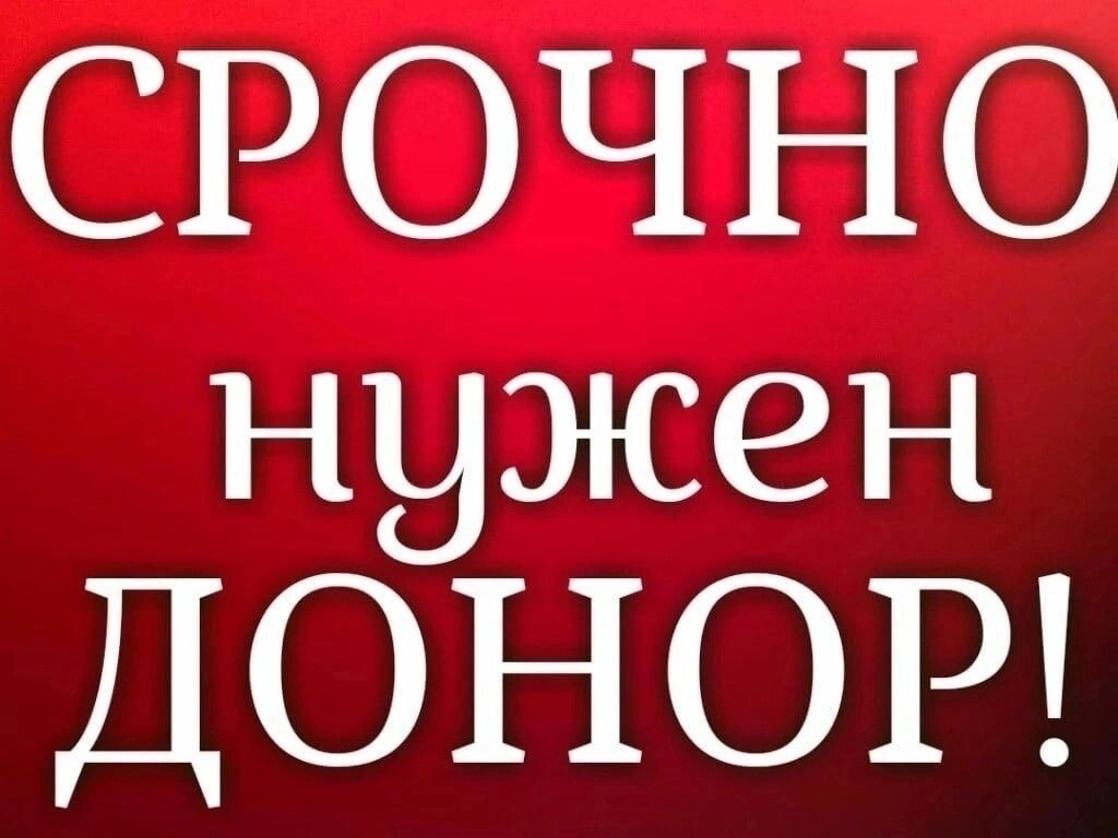 Найдена собака в Барнауле — фото объявления