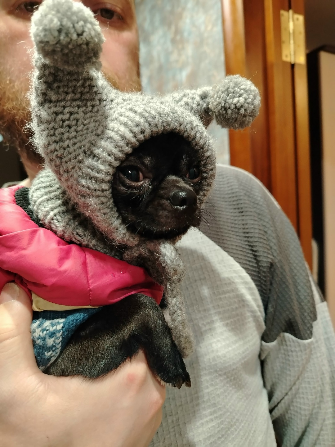 Найдена собака в Барнауле — фото объявления