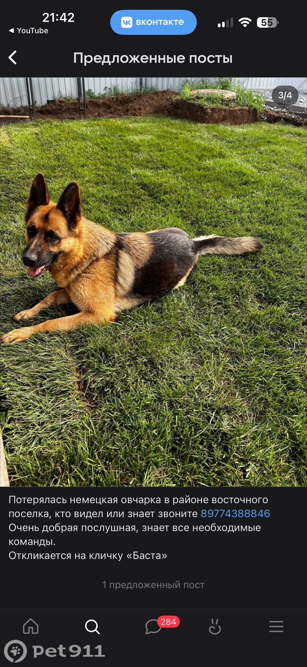 Пропала собака в Ижевске — фото объявления