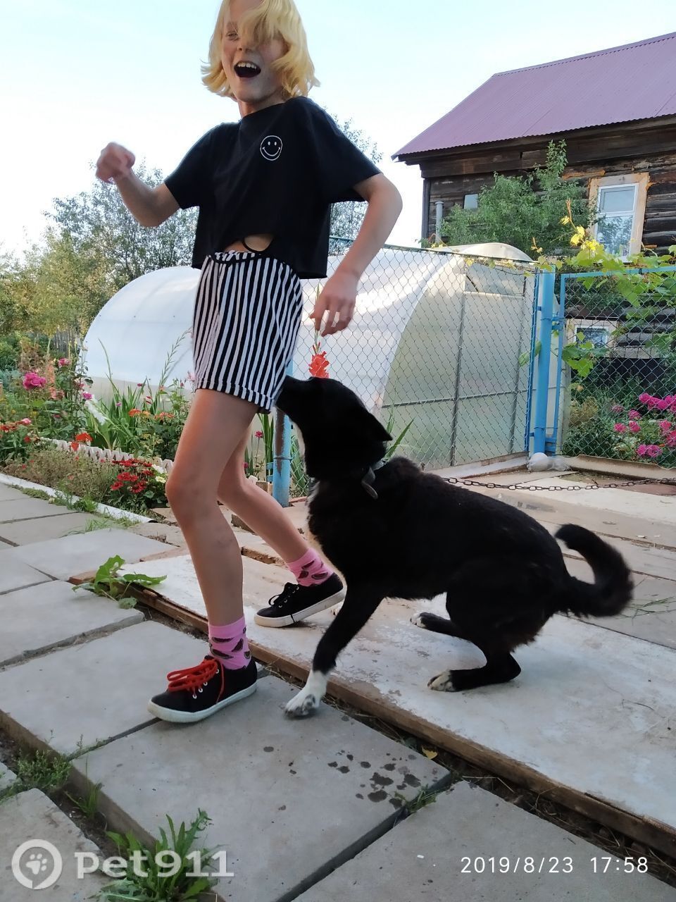 Пропала собака в Ижевске — фото объявления